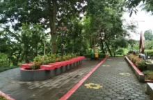 Taman Wilis